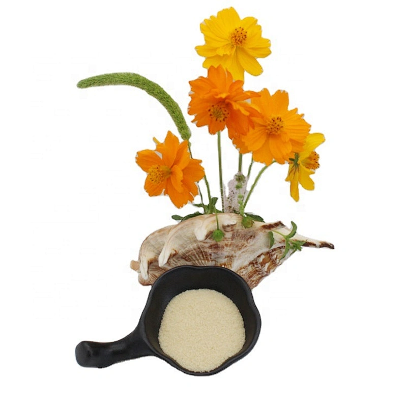 Gelatin Powder Food Grade Beef Gelatin for Food and Pharma Grade Gelatin Manufacturer 160 Bloom 180 bloom